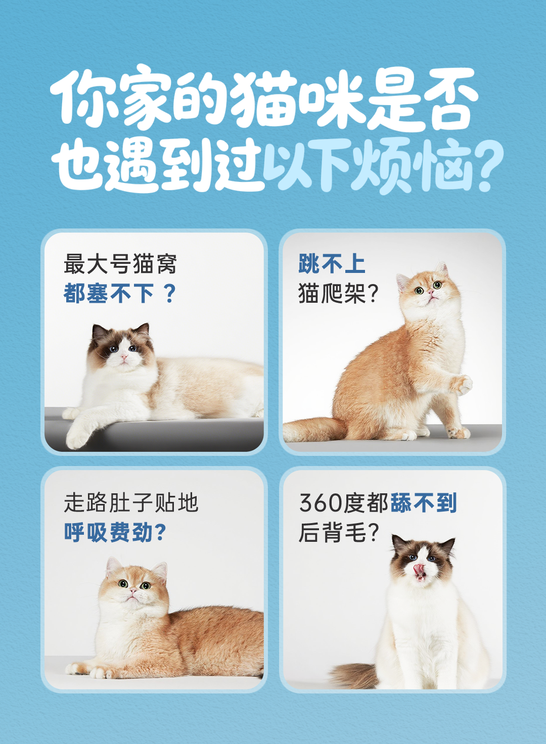 1ec51bcea8b5e0e913d1672ffb21ad24.png 1ec51bcea8b5e0e913d1672ffb21ad24.png