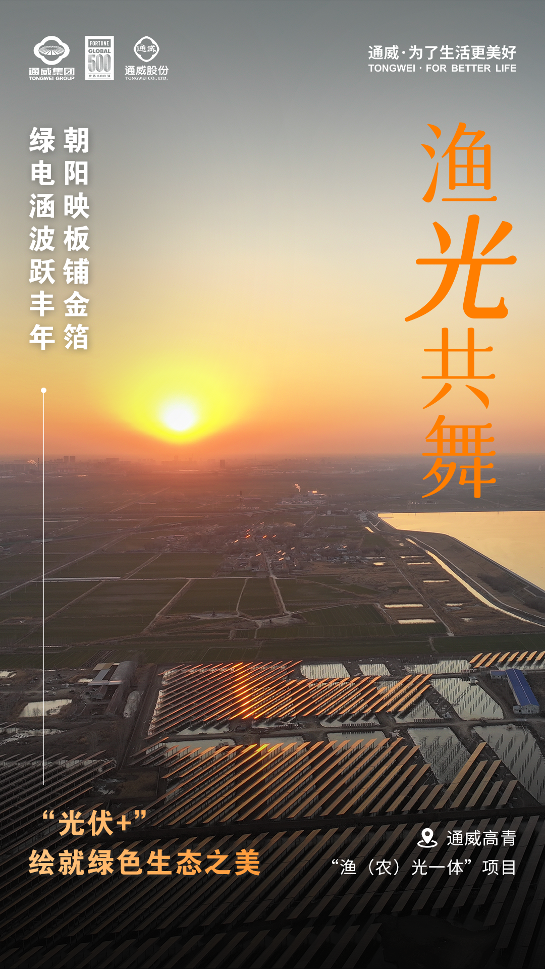 05d6c3215ceb1649154d0b4844cdf683.png 05d6c3215ceb1649154d0b4844cdf683.png