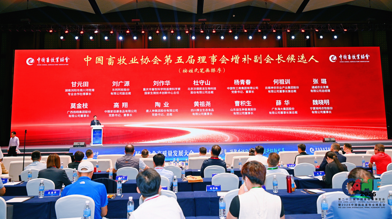 c6128e0e26ef809f1cdda7cae3f12be9.png