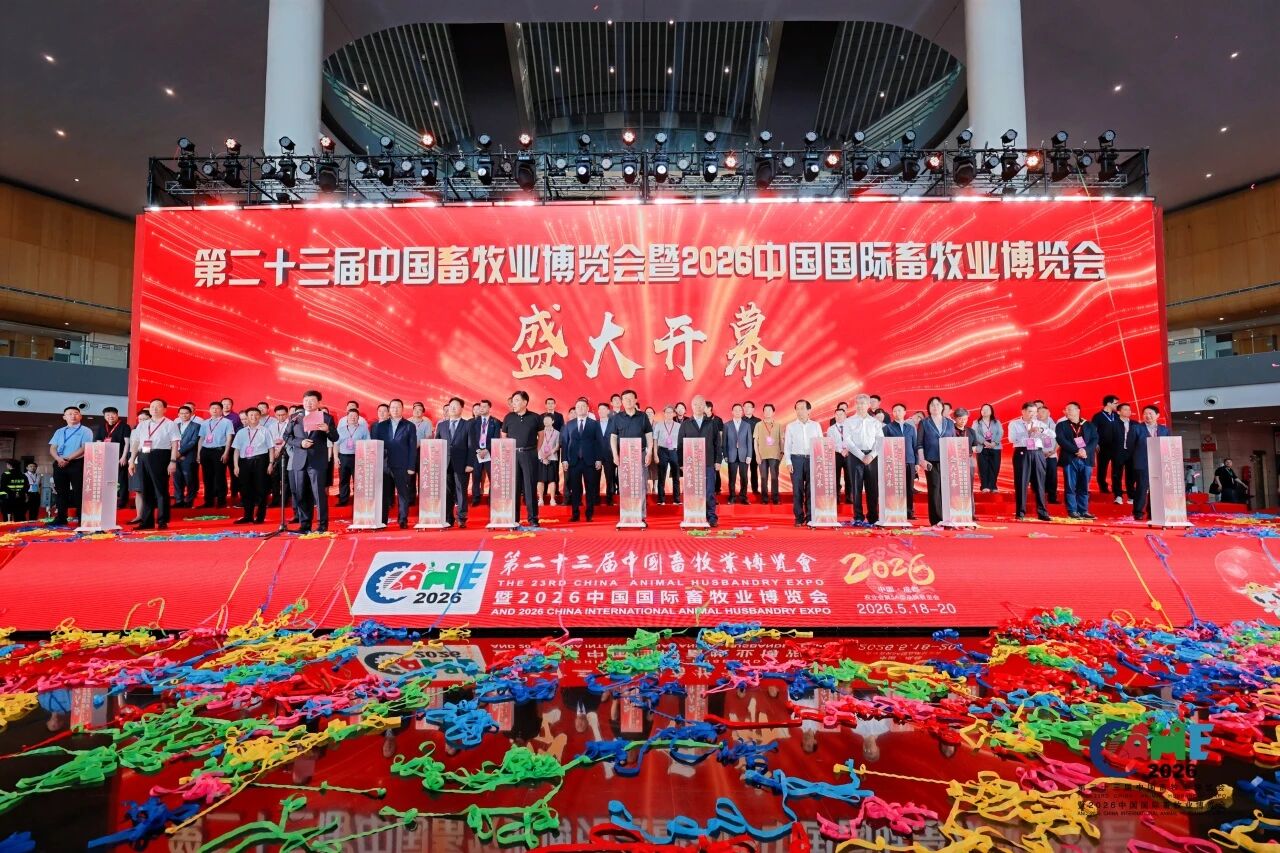 d6557c0cb64ae3406e00e2b7ea862d4f.jpg